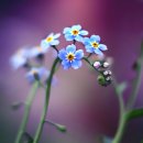 (구)연안여객터미널 이미지