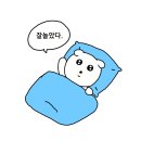 아싸실내낚시터 | 2026 평창송어축제｜겨울 데이트❄️