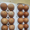 계란 생산 일자와 번호 이미지