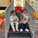 둘리쌍문공원 유아숲체험장 | [생후 910~916일 기록] 사둥이 공동 육아 / 어린이집 반 모임 / 산책