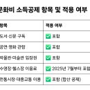 문화비3_카카오페이