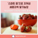 종경농장 이미지