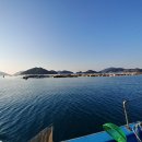 고양이 세수_설렘 이미지