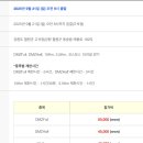 25년 하반기 공식대회 (철원DMZ 국제평화마라톤) 이미지