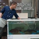 설이 수산