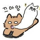 인생쭈꾸미 이미지