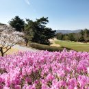 블루원용인CC 이미지