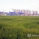 내포제2진입도로 이미지