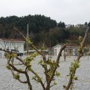 가평 썬 캠핑장 이미지