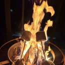 힐링 바이올린 이미지