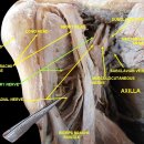 이진복한의원 이미지