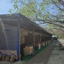 피아프스테이 이미지