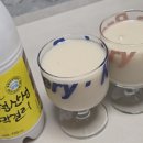 누룩과알콜 | 진짜 전통누룩막걸리 향토민속주 1호 부산 금정산성막걸리 솔직후기