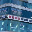 몽글몽글 애견유치원 네이버블로그