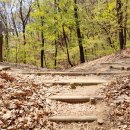 정구묘역 이미지