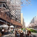 용인센타약국 이미지