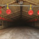 천수공인중개사사무소 이미지