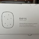 동해기정