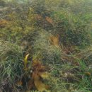 오분길 민박 이미지