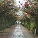 공운삼거리 이미지