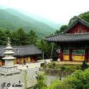 구룡사 - 1336 | 구룡사