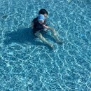 유레카 | 경주 힐튼 아기랑 실내수영장, 실외수영장 ‘유레카’ 후기