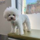 둘레길 동물병원 이미지