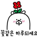 대왕왕족발 이미지