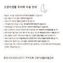 고양이 생활 호텔 이미지