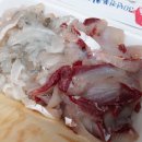 천일횟집 - 포항시 북구 해안로 2533 | 부산 진역 맛집 - 천일도매횟집 포장후기 (봄도다리,봄숭어)