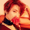 포에이오 Daum카페