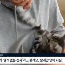 애정목장 이미지