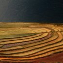 주산-암산교실 이미지