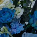 남대문안경여주점 | 1월의 일상 : 모든 일은 꿈에서 시작되니까