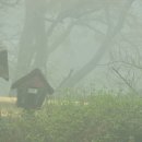 옥정호목장 이미지