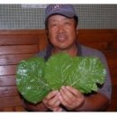 한촌농장 이미지