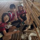 REAL-Year 5 and Year 6 students experienced at UK Farm, Kluang. 이미지
