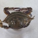 호텔야자 대구서부정류장점 | 집에서 다이어트식 먹고 [AW호텔]예도이 결혼👰🏻‍♀️🎉부케받았당