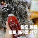 탈모볼륨 샴푸 젤씨 미라클 탈모샴푸 선택 후기