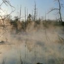 산속에아침 이미지