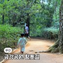 금강스포츠공원 | 부산 아이와 가볼만한곳 금강공원 맨발걷기 위치 주차