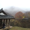 순천-25호 티스토리