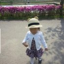 용당어린이공원 | 🌸 2026 순천 봄 꽃기행 완벽 정리 | 지금이 진짜 절정! 선암사 홍매화, 겹벚꽃 + 동천 벚꽃길 + 순천만...