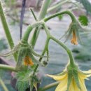 청호농장 이미지