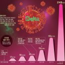 中백신 자가격리 면제는 제일 먼저, 입국자 PCR검사는 뒤늦게 이미지