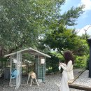 나무이야기 펜션 리솜포레스트 이미지