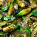 여기,초록 이미지