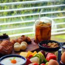 대정연가 이미지