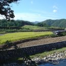 춘배농장 이미지