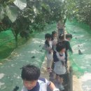 용우농장 이미지